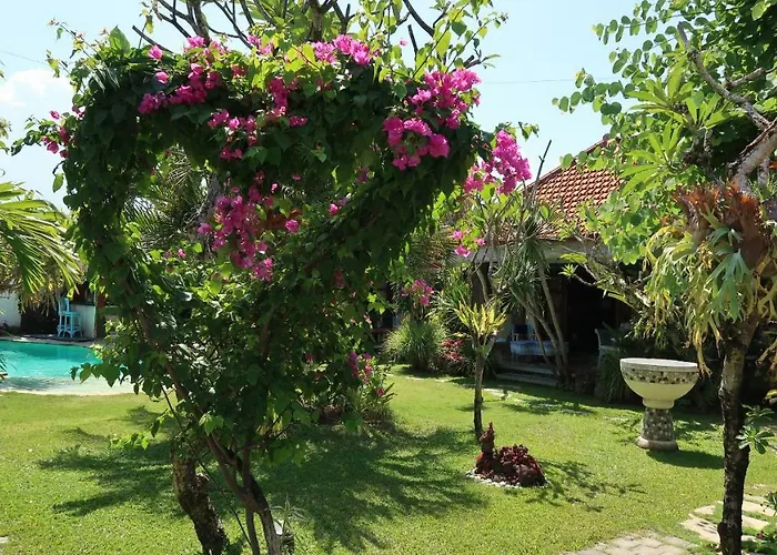 Shantitara 2*